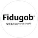 Logo fidubog
