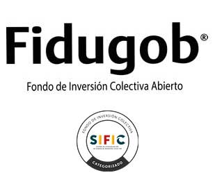 Logo Fidugob empresas