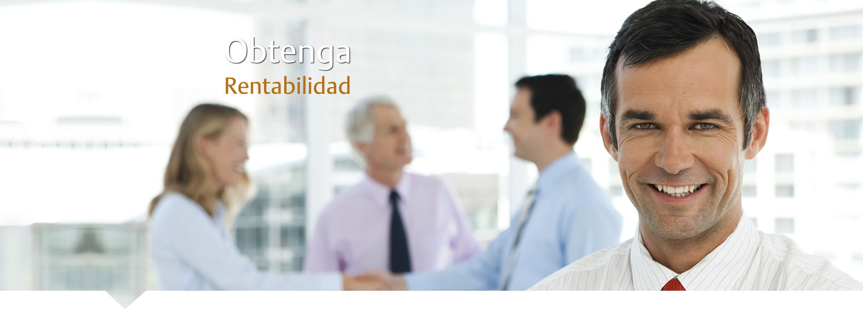 Banner Pyme Portafolio de Inversión Optimo Banner Pyme Portafolio de Inversión Optimo
