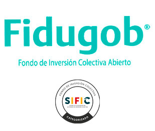 Logo Fidugob Oficial