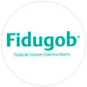 Logo Oficial Fidubog