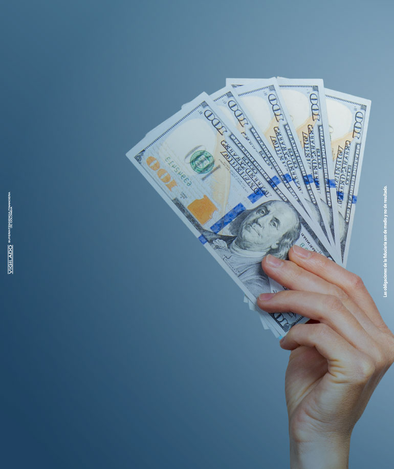 Banner inversión en activos atados al dólar