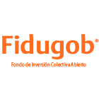 logo fidubog