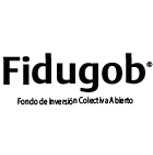 Logo fidubog
